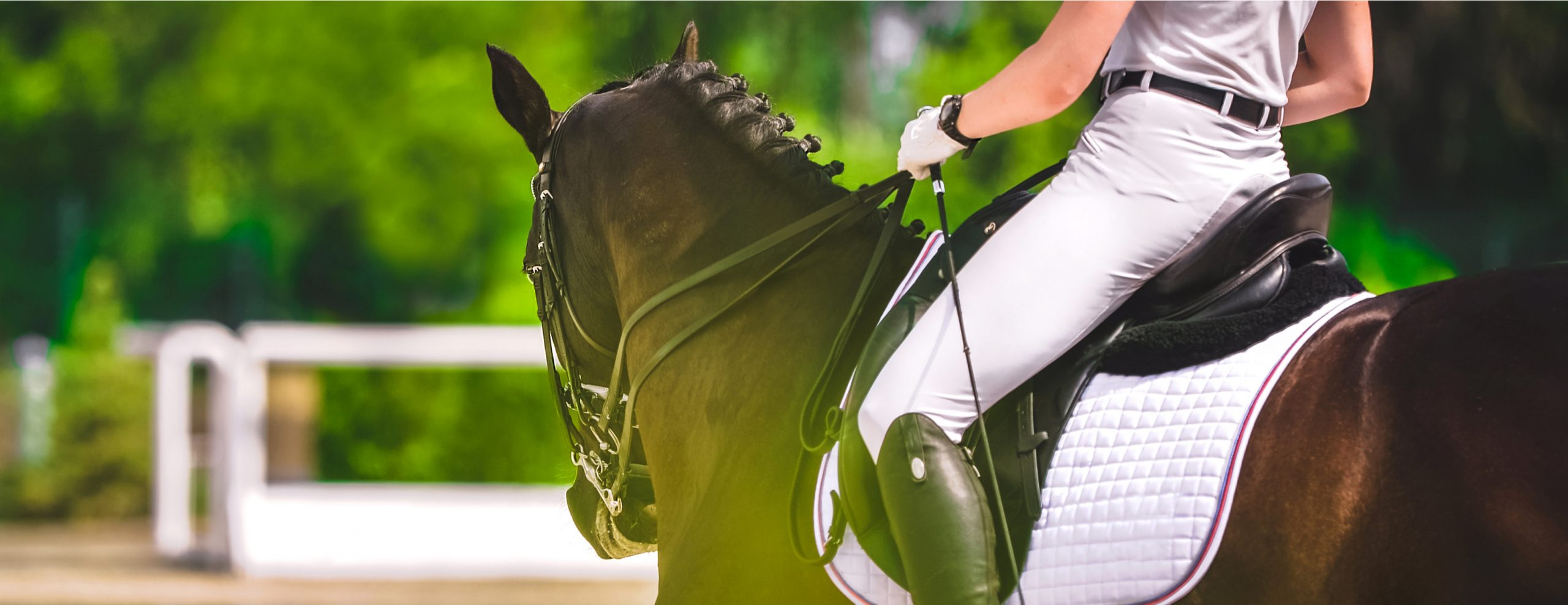 Equestrian Laundry Equipment available from Multibrand Professional