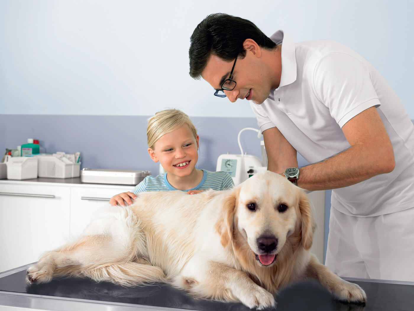 Veterinary Laundry Equipment available from Multibrand Professional
